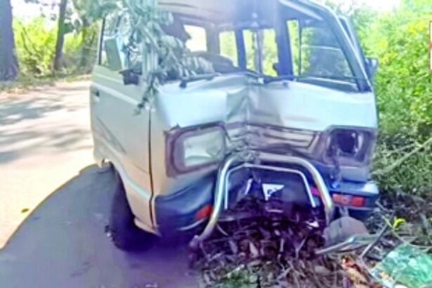 Sanguem’s interior villages fear rising man-animal run-ins