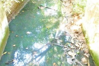 Sanitation crisis in Morjim as businesses, households discharge untreated wastewater into gutters