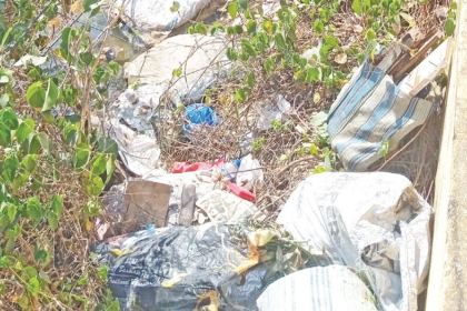 Sanitation issues at Patto, Panjim, Goa