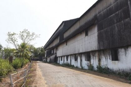 Sanjivani: A sweet to bitter journey