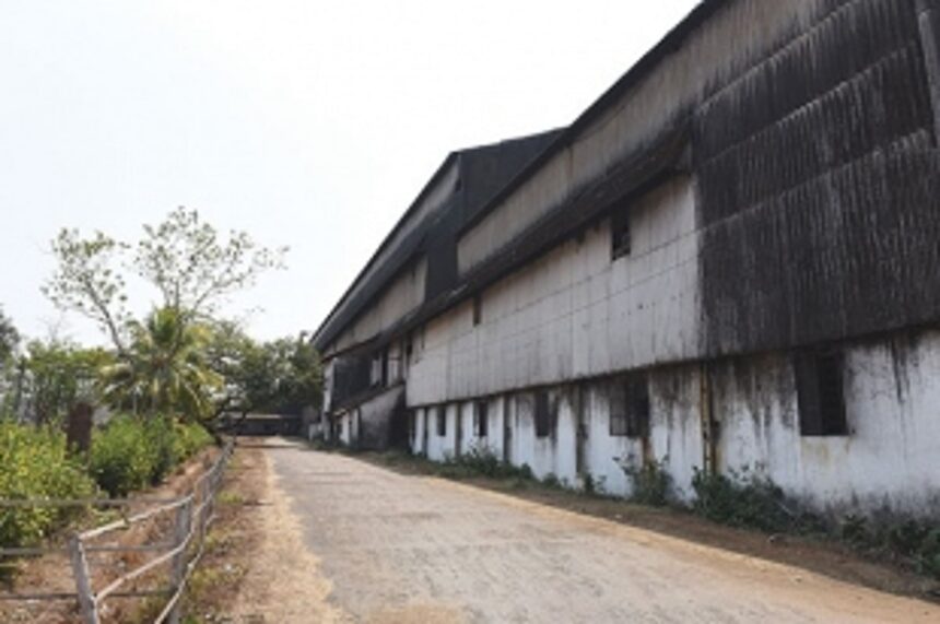 Sanjivani: A sweet to bitter journey