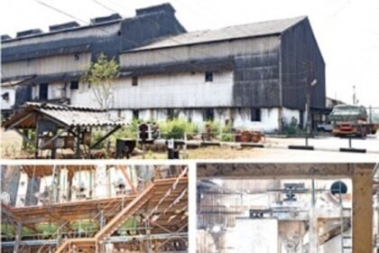 Sanjivani Sugar Factory Diversifies Operations, Initiates Fish Farming Unit for Locals