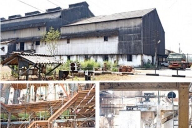 Sanjivani Sugar Factory Diversifies Operations, Initiates Fish Farming Unit for Locals