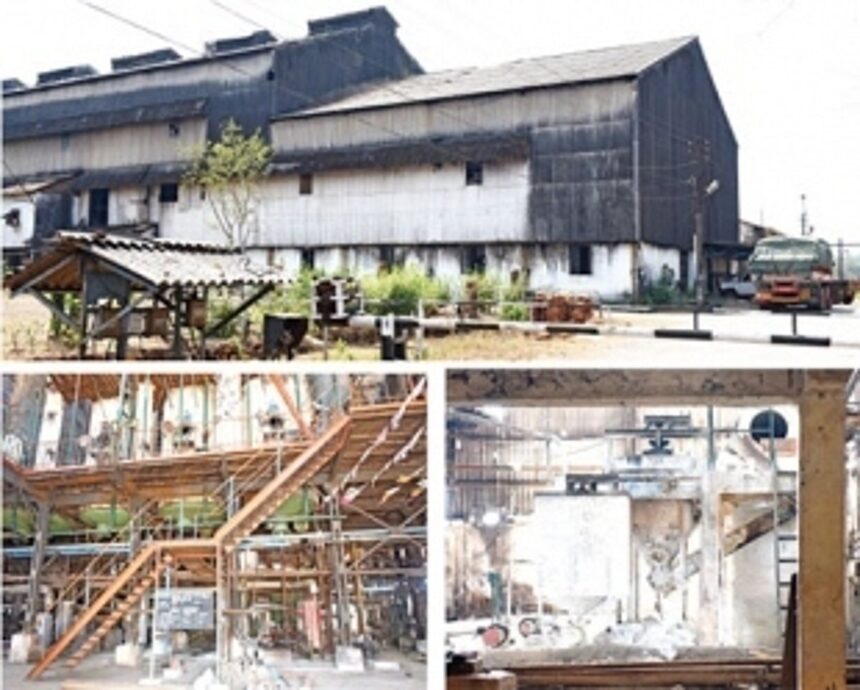 Sanjivani Sugar Factory Diversifies Operations, Initiates Fish Farming Unit for Locals