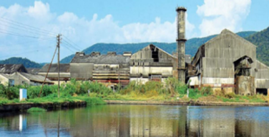 Sanjivani panel chief urged to solve cane farmers’ woes 1 Sanjivani panel chief urged to solve cane farmers’ woes