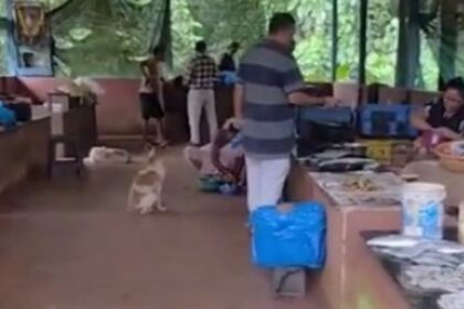 Sankhali’s Fishermen Struggle Amid Rising Challenges