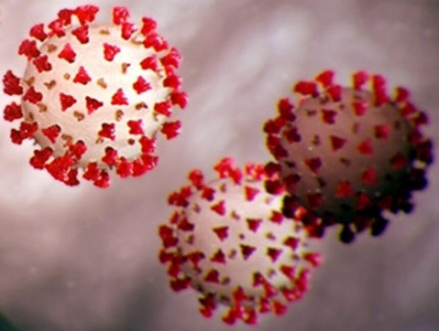 Sanquelim’s Desai Nagar sealed