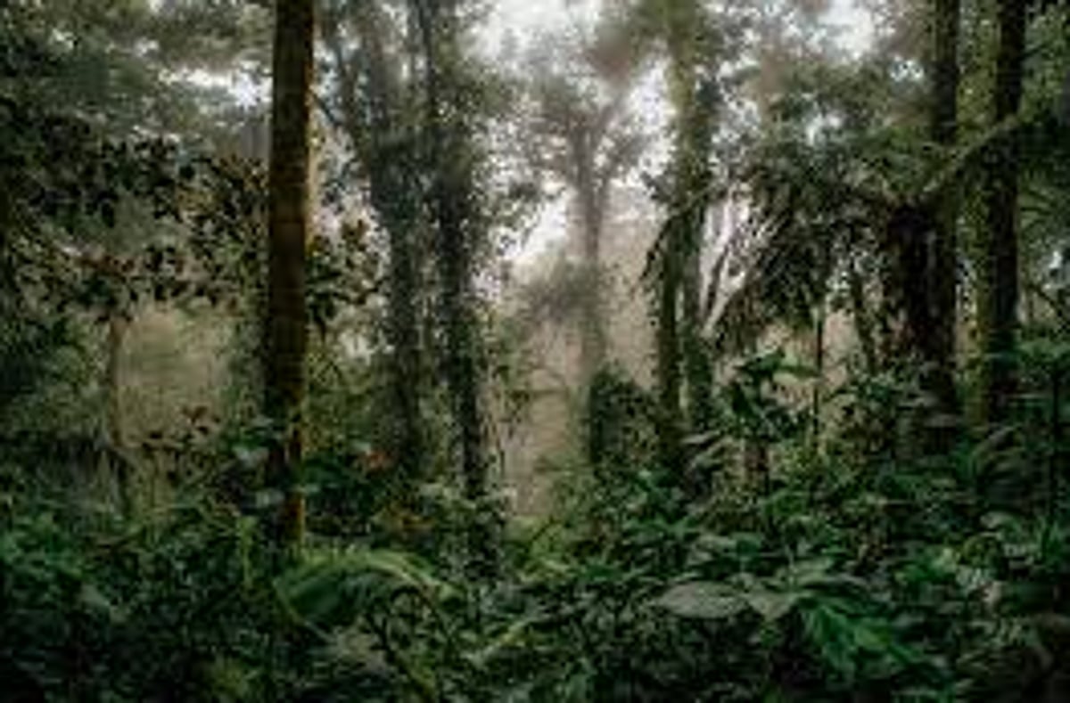 Santa Cruz VP wins  Conservation Award