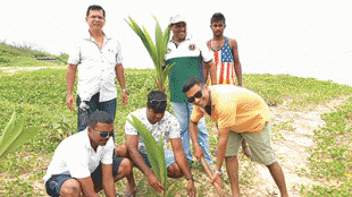 Saplings planted over a km at Benaulim and at Curtorim