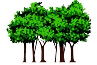 Sardesai charges CM of causing Rs 207 crore loss to Goa by amending GMR concessionaire agreement