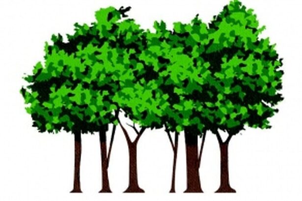 Sardesai charges CM of causing Rs 207 crore loss to Goa by amending GMR concessionaire agreement