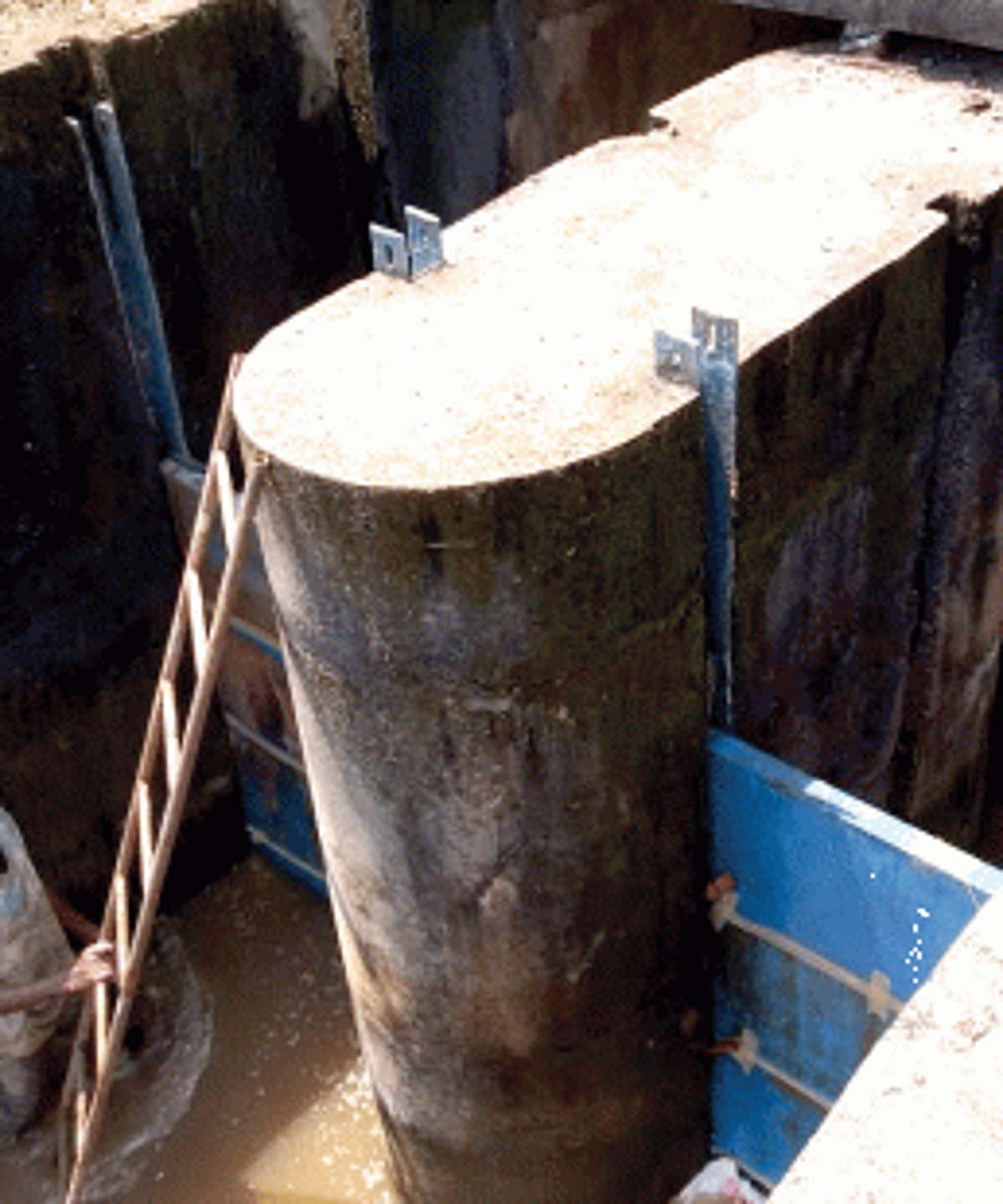 Sarpanch helps in  conservation of water  in Assolna