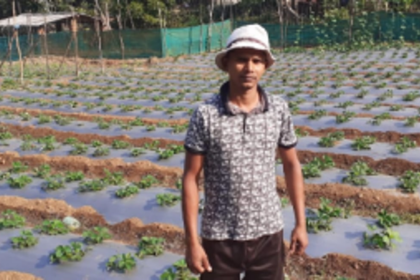 Sattari environment favourable for strawberries: Farmer