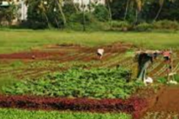 Sattari locals perennially wait in vain to obtain Alvara land ownership