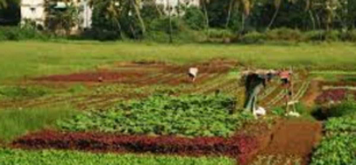 Sattari locals perennially wait in vain to obtain Alvara land ownership