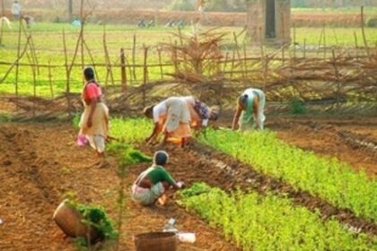 Sattari locals want Gavthan,  Alvara land in Class A category