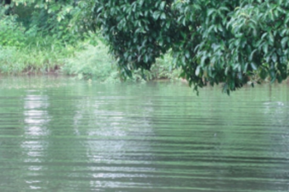 Save Chandor Lake and water bodies