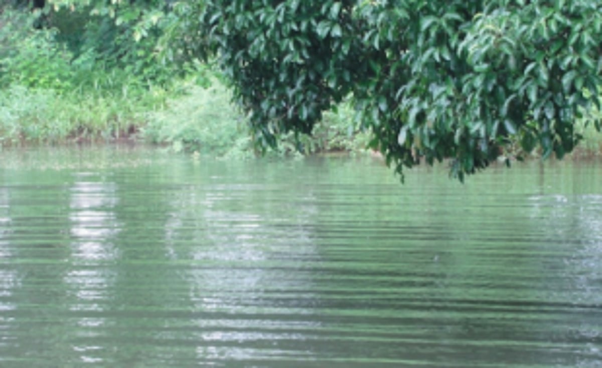 Save Chandor Lake and water bodies