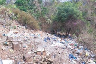 Save Ecology and water bodies