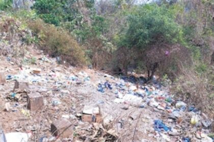 Save Ecology and water bodies