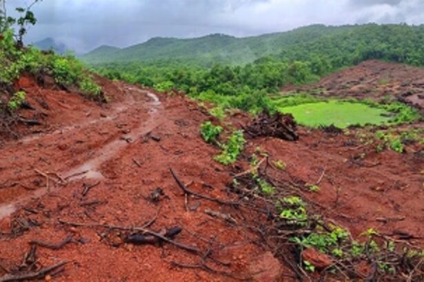 Save Mollem: GHAC members write to CEC over destruction of heritage structures, forest land