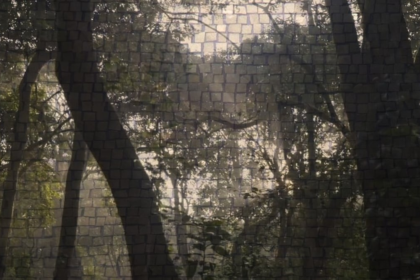 Save Mollem group flays Goa govt for granting ‘destructive’ forest clearances
