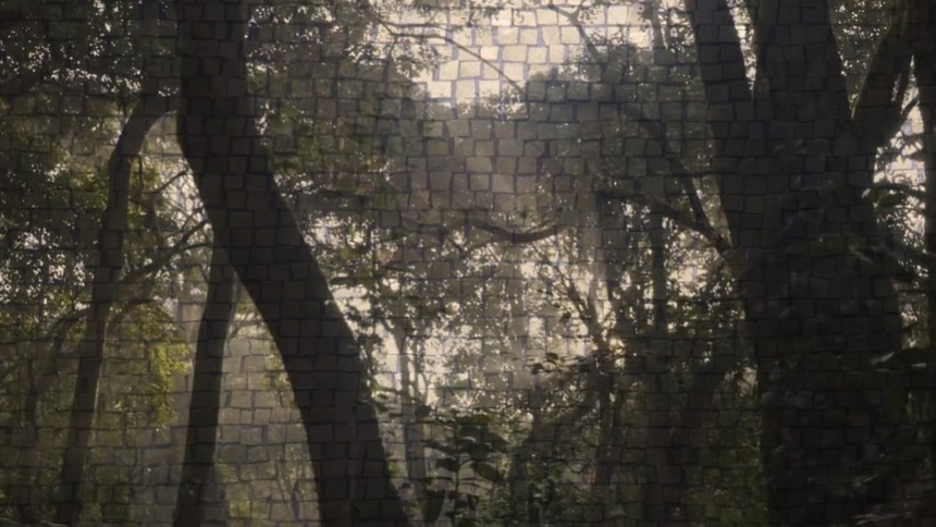 Save Mollem group flays Goa govt for granting ‘destructive’ forest clearances 1 Save Mollem group flays Goa govt for granting ‘destructive’ forest clearances