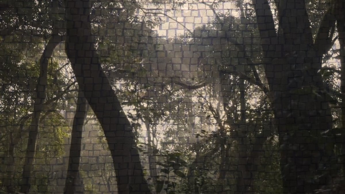 Save Mollem group flays Goa govt for granting ‘destructive’ forest clearances