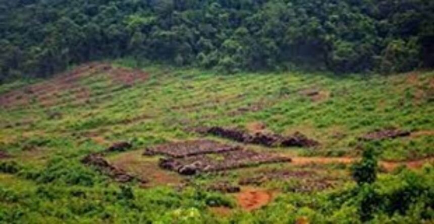 Save Mollem movement against  3 linear projects wins award