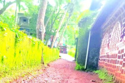 Save Old Goa Action Committee demands master plan to protect heritage sites