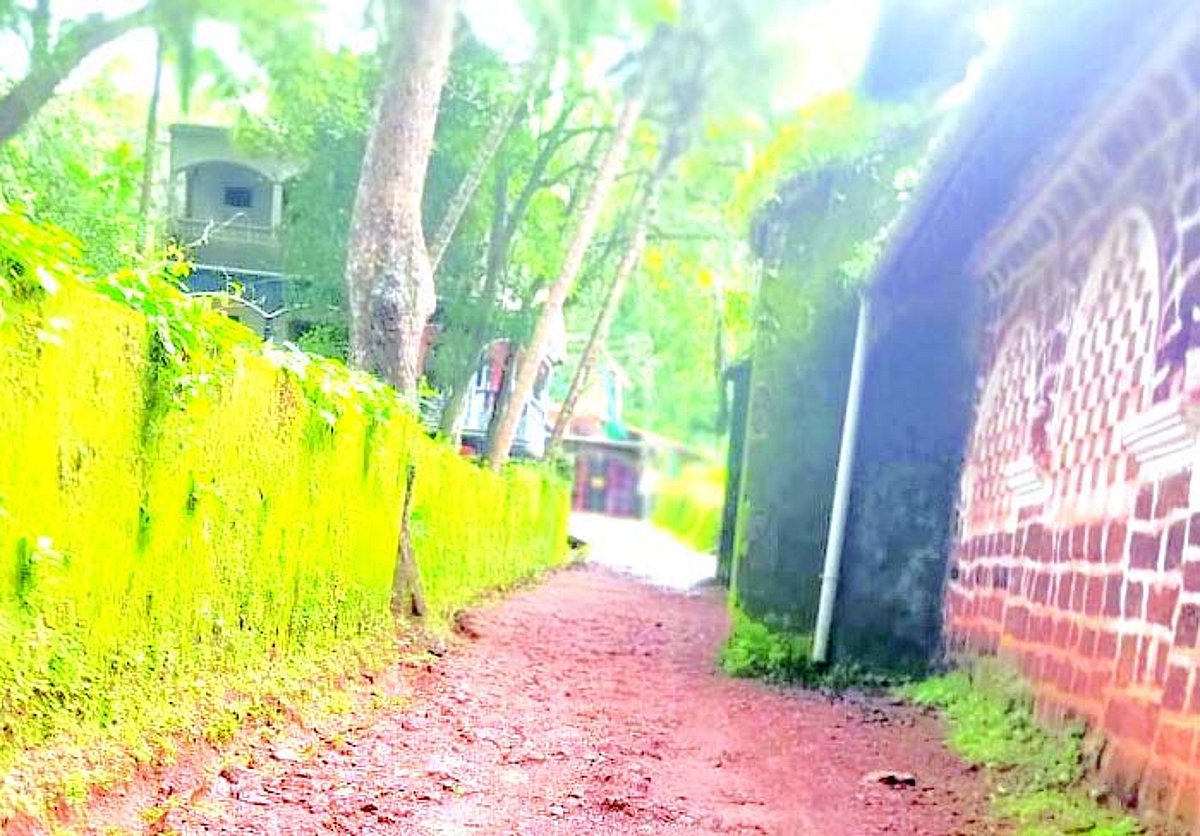 Save Old Goa Action Committee demands master plan to protect heritage sites