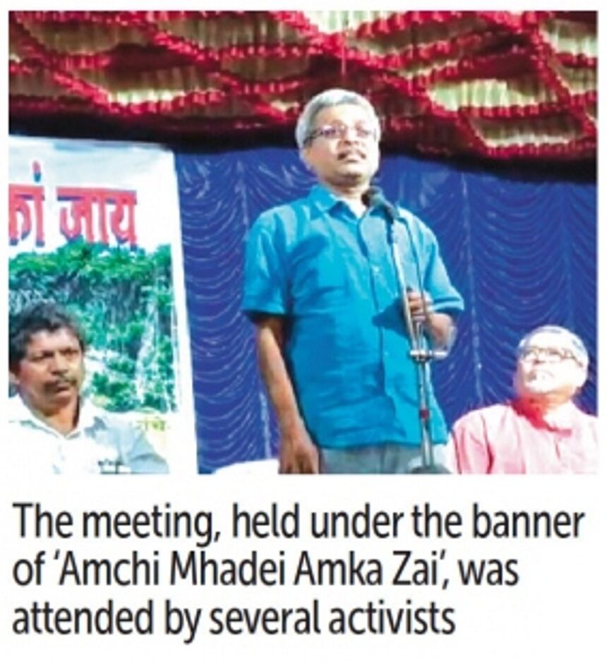 Saving Mhadei: ‘Govt needs to strengthen Goa’s case with scientific studies’