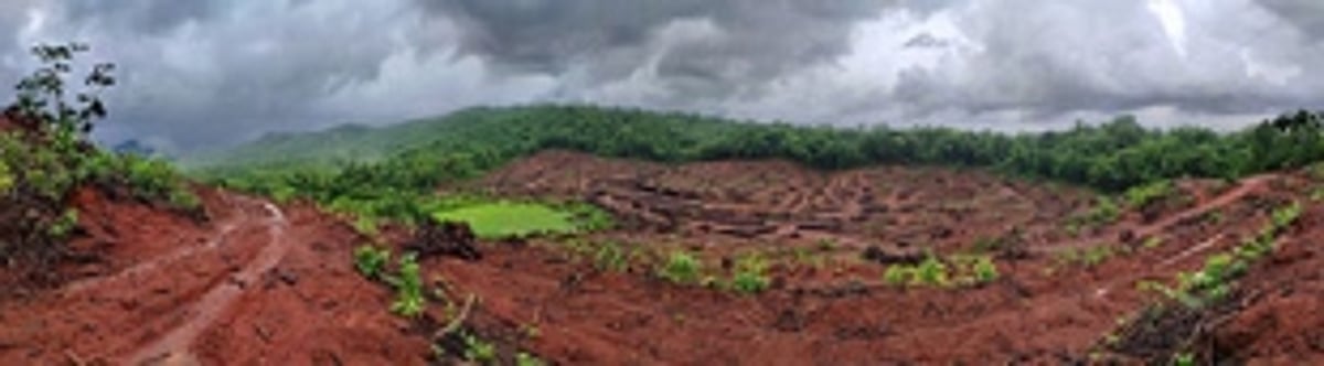 Scientists, conservationists say results  will have a CATASTROPHIC effect