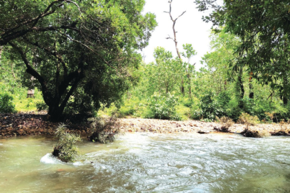 Scientists push to scrap rail expansion through W Ghats