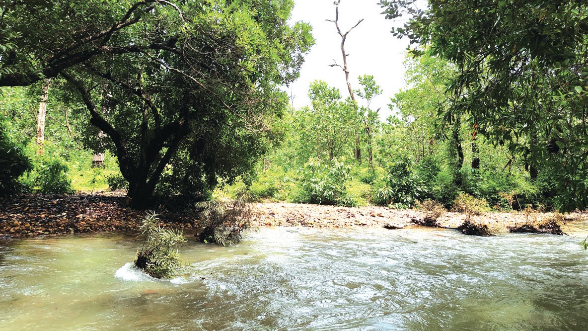 Scientists push to scrap rail expansion through W Ghats
