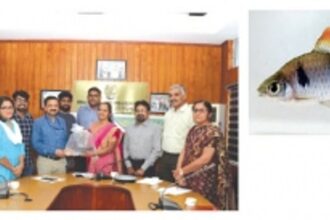 Scientists successfully breed Goa’s iconic ‘Indigo Barb’ fish in captivity to conserve threatened species