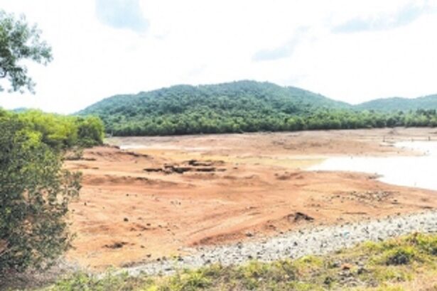 Scorching heat dries up Mhaisal dam; water  to Panchwadi, Shiroda supplied from Opa