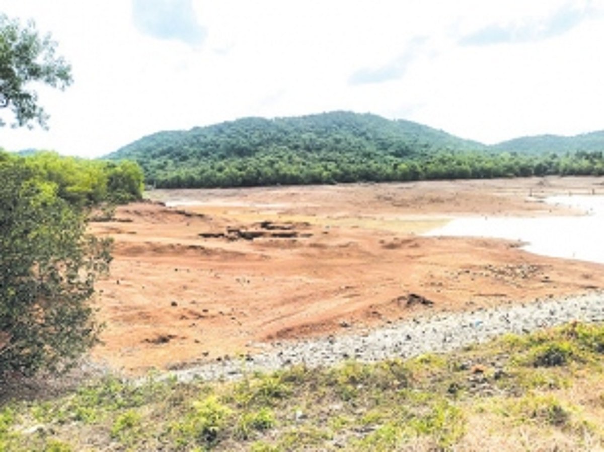 Scorching heat dries up Mhaisal dam; water  to Panchwadi, Shiroda supplied from Opa