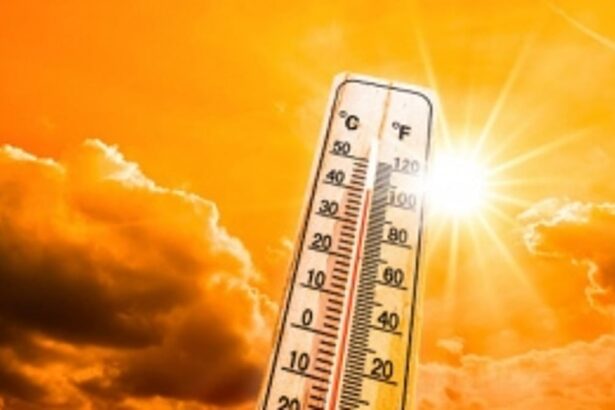 Scorching summer season; Goa temperature remains constant while other parts in India get Heatwave Alert