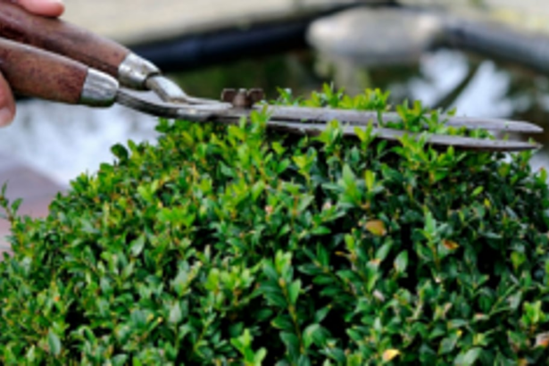 Scrap IRB barracks plan or face stir, Curtorim locals warn govt