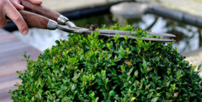 Scrap IRB barracks plan or face stir, Curtorim locals warn govt