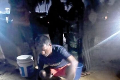 Sea turtle hatchlings  rescued at Baina beach, released back into the sea