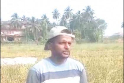 Seafarer docks on field with mud for  western bypass, grows organic black rice