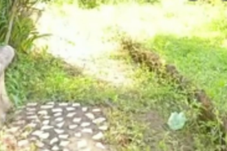 Secluded and overgrown with shrubs, Sanguem’s Municipal garden in urgent need of revamp