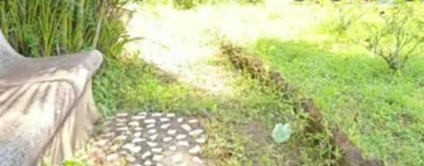 Secluded and overgrown with shrubs, Sanguem’s Municipal garden in urgent need of revamp