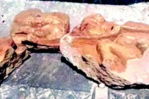 Second statue found in Panjim after Paulista sculpture unearthed on April 30