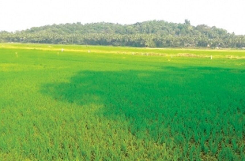 Section 39A in Goa TCP Act for land conversion gets Governor’s assent 1 Section 39A in Goa TCP Act for land conversion gets Governor’s assent