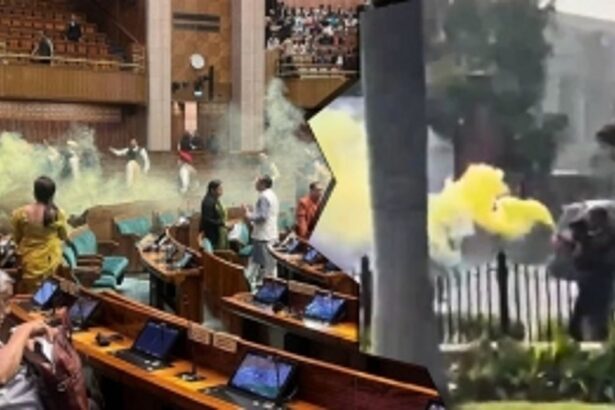 Security Breach in Lok Sabha on Parliament Attack Anniversary: Individuals Detained for Gas-Emitting Object Incident