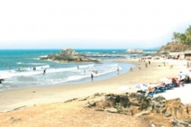 Select Mormugao wards may see fiercer battles