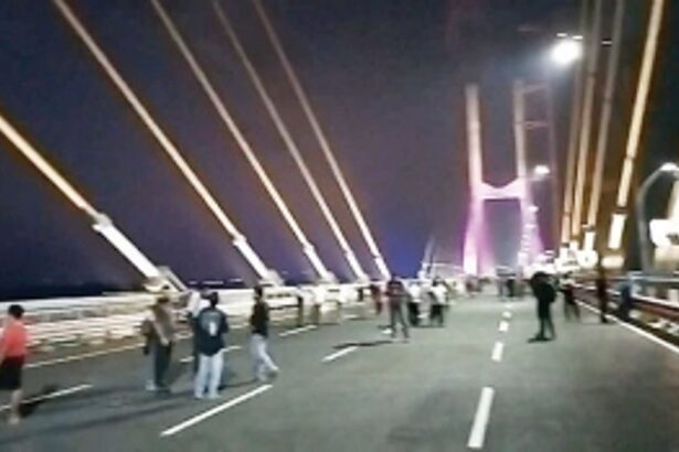 Selfie takers chilled on new bridge as commuters snarled on the old